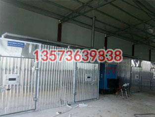 兩聯(lián)體木材烘干箱