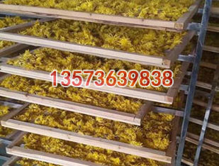 菊花烘干機(jī)